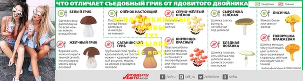 гидропоника Алзамай