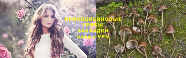 гидропоника Алзамай