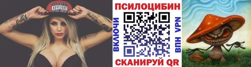 Галлюциногенные грибы прущие грибы  ОМГ ОМГ ссылки  Богданович 
